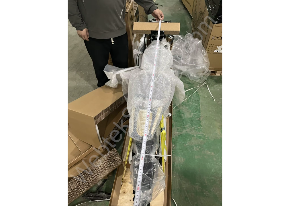 2025 Ultra Bee – 74 V 60 Ah Electric Dirt Bike 21 kW Mid‑Motor Power - Image 11